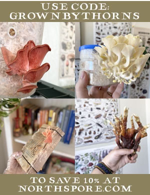 Photos of mushrooms with coupon code. Coupon code: grownbythorns will save 10% at Northspore.com